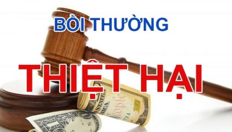 -cho-em-xin-mau-don-yeu-cau-boi-thuong-dan-su-trong-vu-an-hinh-su---68764