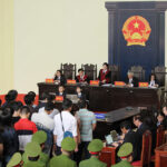 vai tro cua luat su trong bao chua vu an hinh su