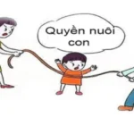 quyen-nuoi-con-sau-ly-hon