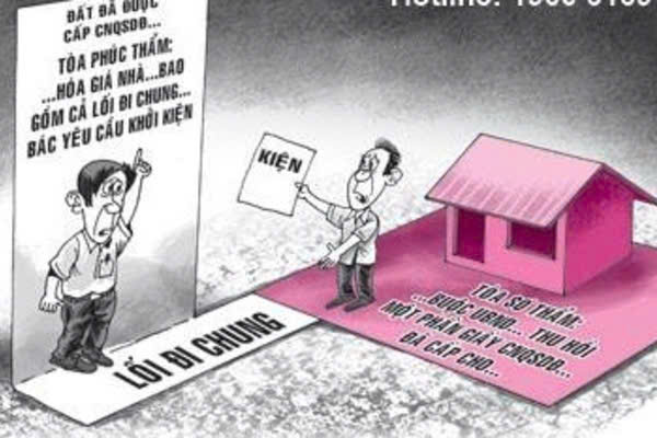 z7653364664122_cc9862816fd58586a1490b41a3d9a95a