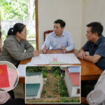 hoà giải tcdđ