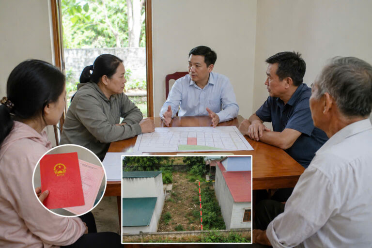 hoà giải tcdđ
